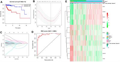 Genome-Wide Analysis for the Regulation of Gene Alternative Splicing by DNA Methylation Level in Glioma and its Prognostic Implications